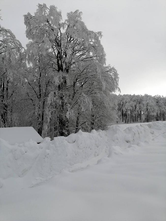 Guest House "Visnja" Žabljak Eksteriør billede