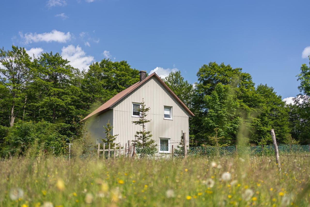 Guest House "Visnja" Žabljak Eksteriør billede